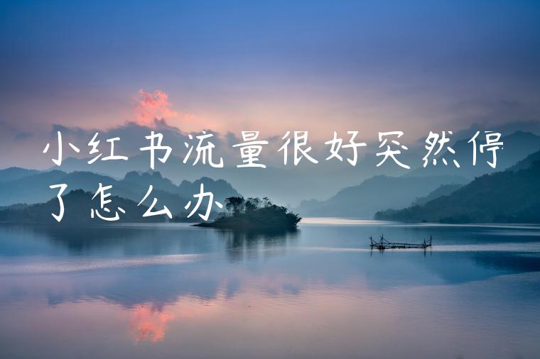 小红书流量很好突然停了怎么办