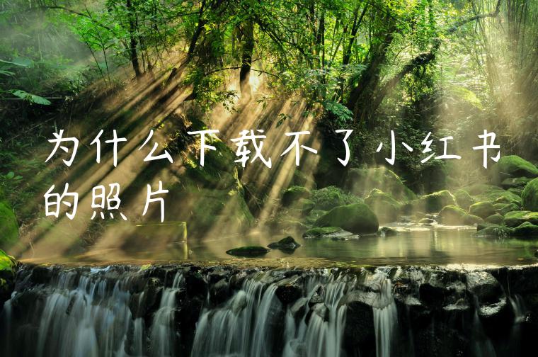 为什么下载不了小红书的照片
