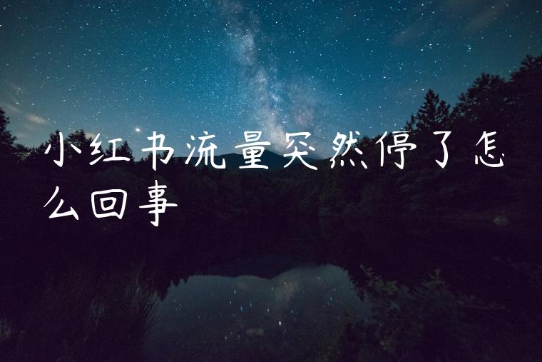 小红书流量突然停了怎么回事