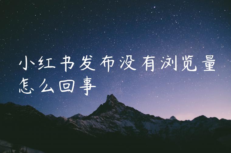 小红书发布没有浏览量怎么回事 小红书发布没有浏览量怎么回事