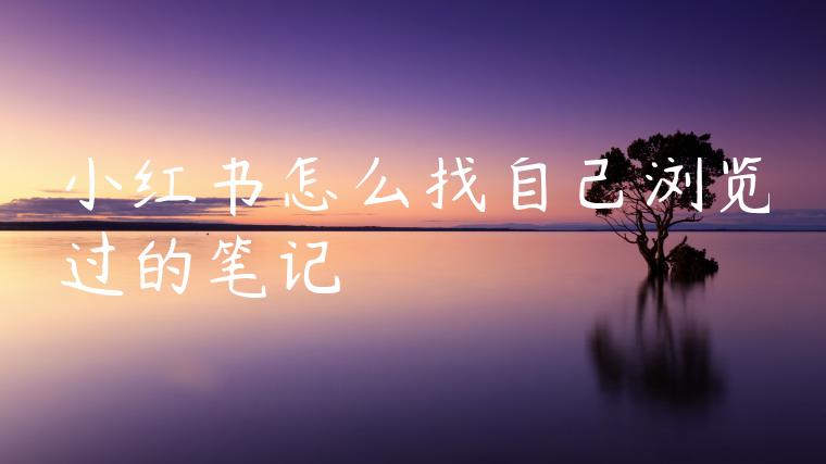 小红书怎么找自己浏览过的笔记