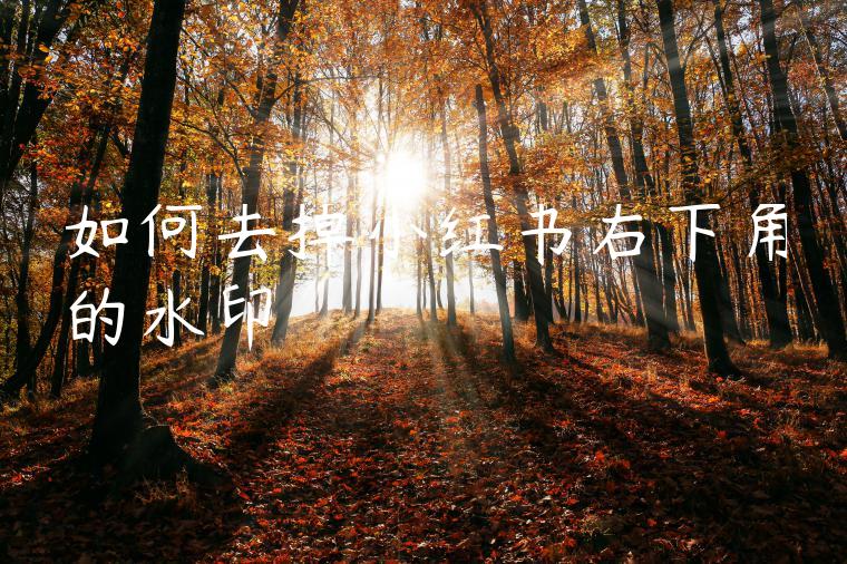 如何去掉小红书右下角的水印 如何去掉小红书右下角的水印