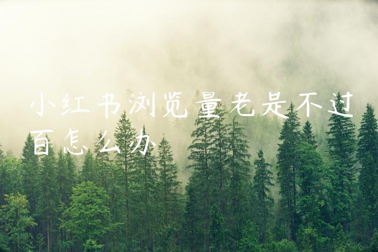 小红书浏览量老是不过百怎么办