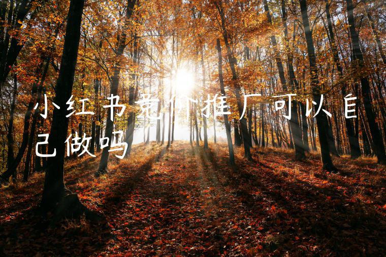小红书竞价推广可以自己做吗