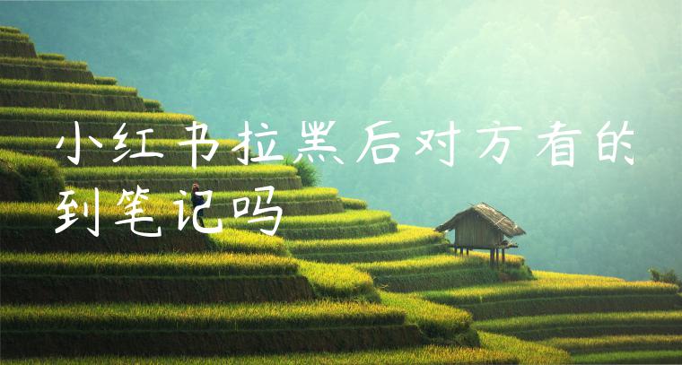 小红书拉黑后对方看的到笔记吗