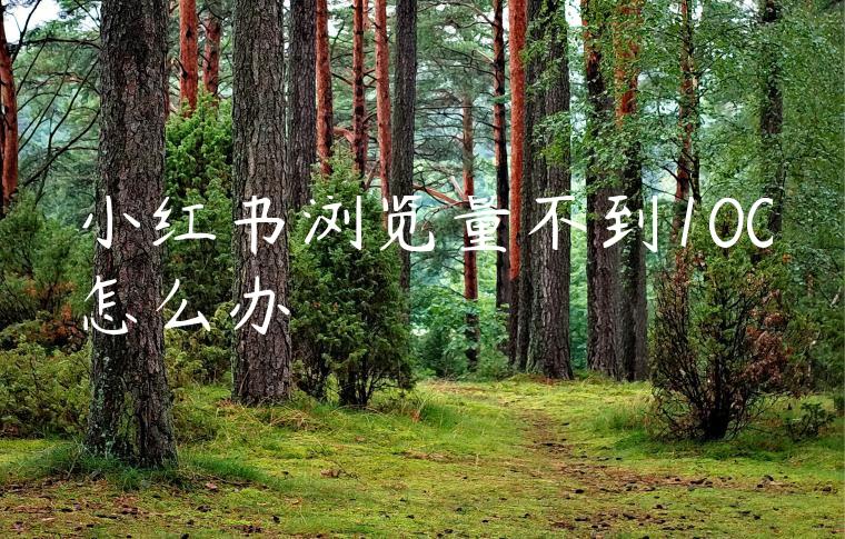 小红书浏览量不到100怎么办