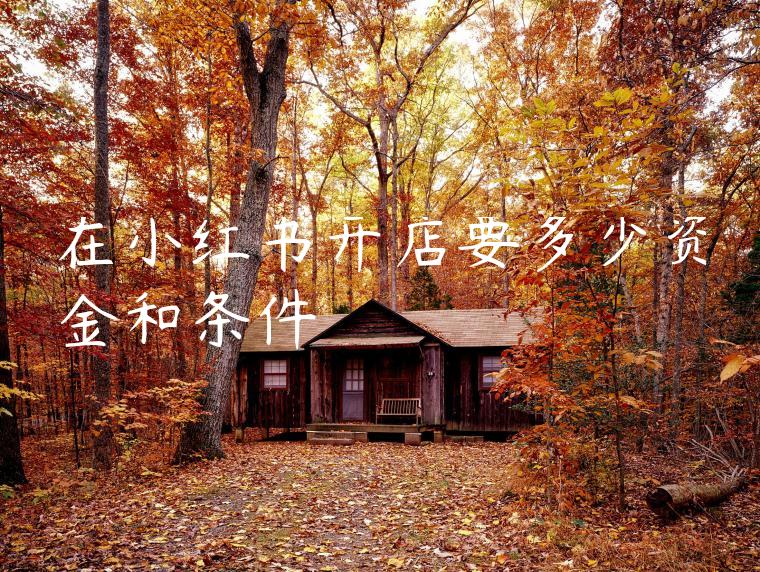在小红书开店要多少资金和条件 在小红书开店要多少资金和条件