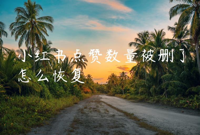 小红书点赞数量被删了怎么恢复