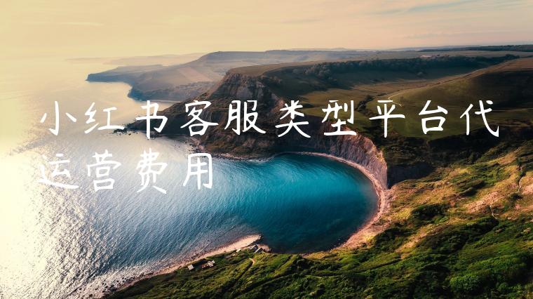 小红书客服类型平台代运营费用 小红书客服类型平台代运营费用