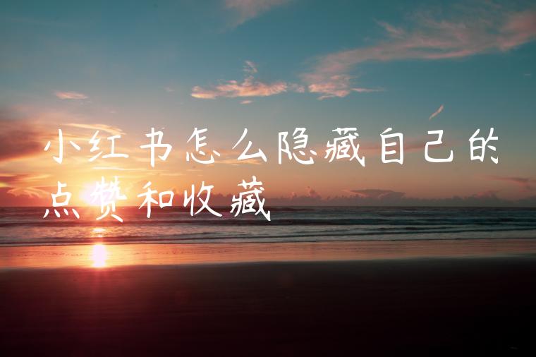 小红书怎么隐藏自己的点赞和收藏