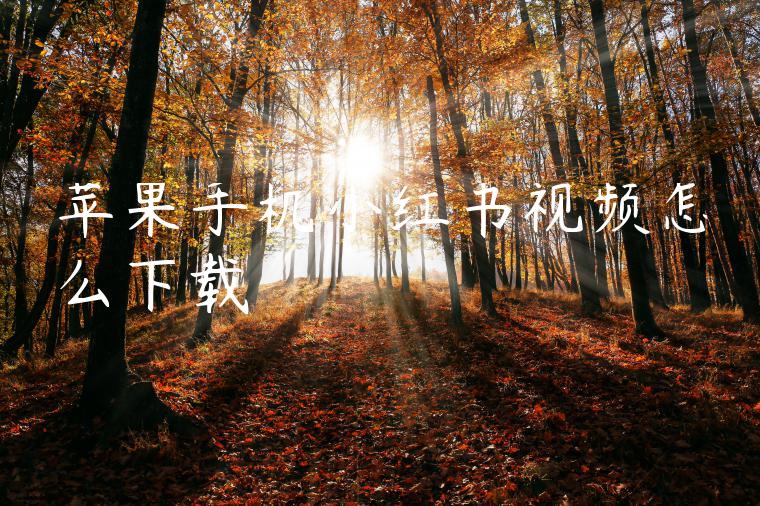 苹果手机小红书视频怎么下载