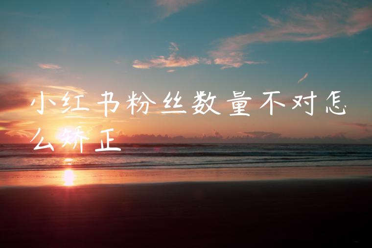 小红书粉丝数量不对怎么矫正