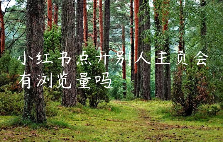 小红书点开别人主页会有浏览量吗 小红书点开别人主页会有浏览量吗