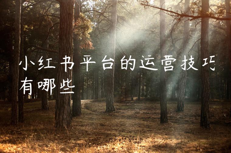 小红书平台的运营技巧有哪些