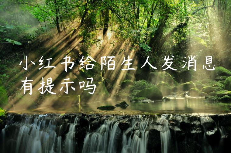 小红书给陌生人发消息有提示吗