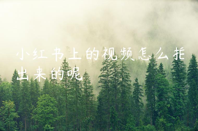 小红书上的视频怎么拍出来的呢 小红书上的视频怎么拍出来的呢