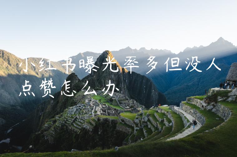 小红书曝光率多但没人点赞怎么办