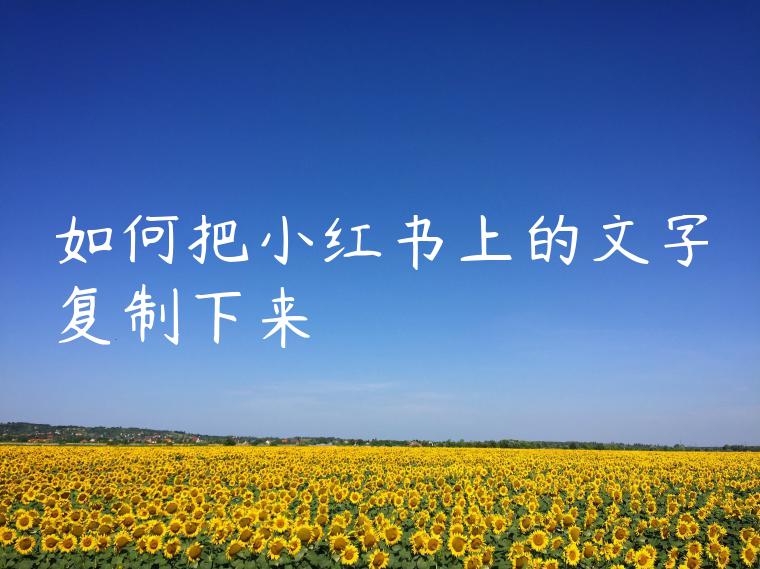 如何把小红书上的文字复制下来 如何把小红书上的文字复制下来