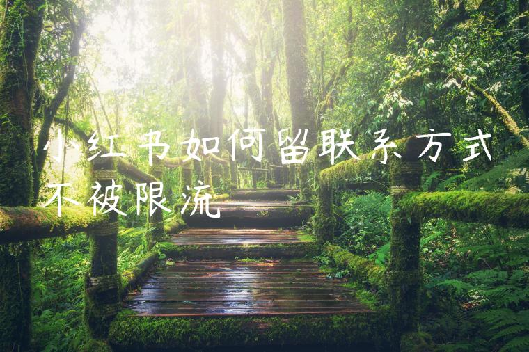 小红书如何留联系方式不被限流 小红书如何留联系方式不被限流