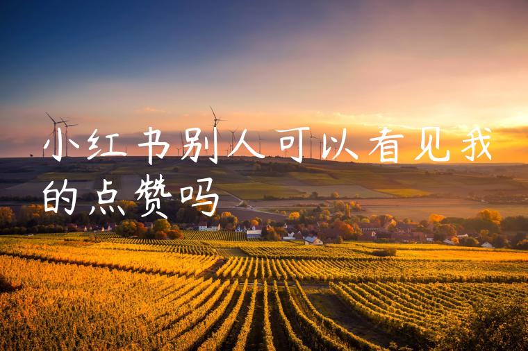 小红书别人可以看见我的点赞吗 小红书别人可以看见我的点赞吗