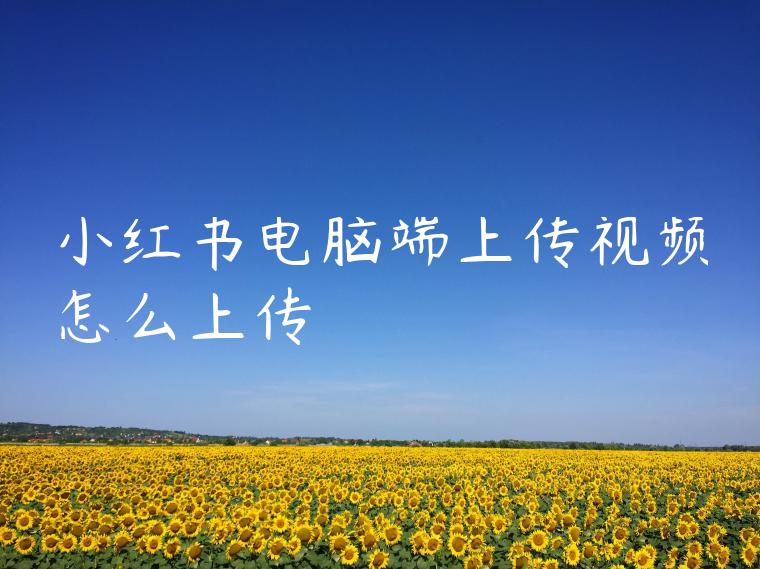 小红书电脑端上传视频怎么上传