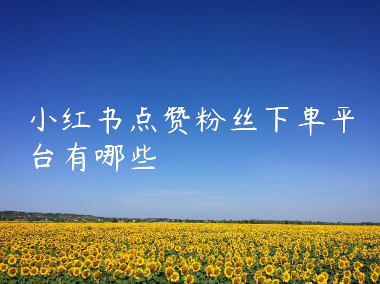 小红书点赞粉丝下单平台有哪些