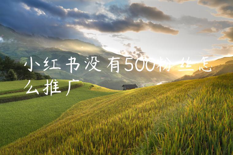 小红书没有500粉丝怎么推广 小红书没有500粉丝怎么推广