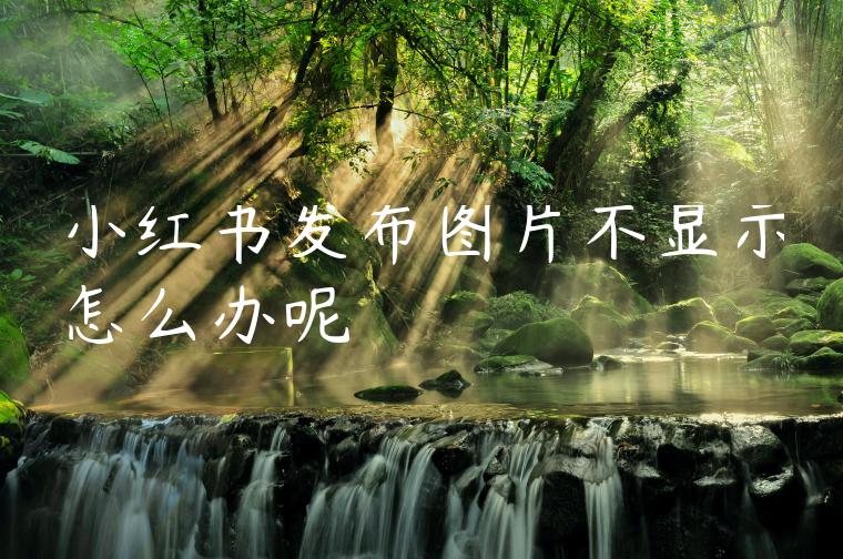 小红书发布图片不显示怎么办呢