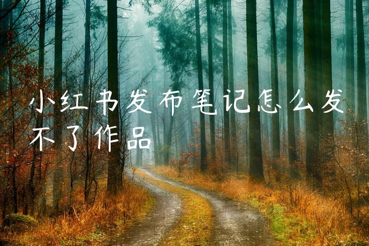 小红书发布笔记怎么发不了作品