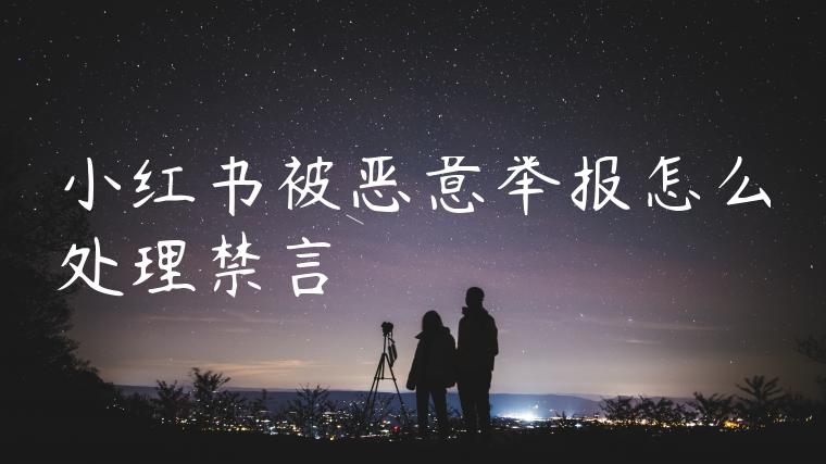 小红书被恶意举报怎么处理禁言