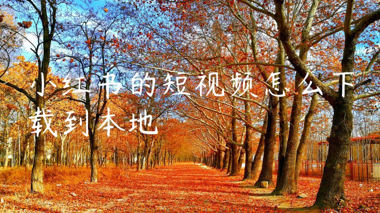 小红书的短视频怎么下载到本地 小红书的短视频怎么下载到本地