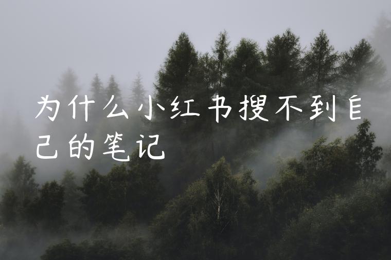 为什么小红书搜不到自己的笔记 为什么小红书搜不到自己的笔记