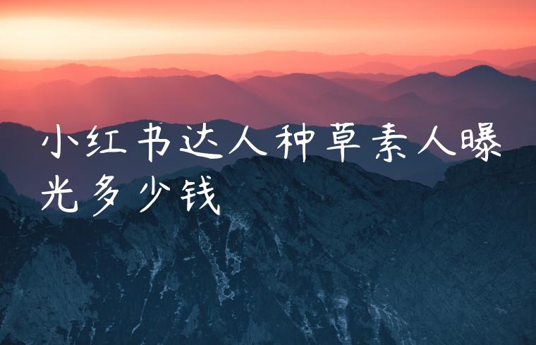 小红书达人种草素人曝光多少钱 小红书达人种草素人曝光多少钱