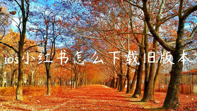 ios小红书怎么下载旧版本