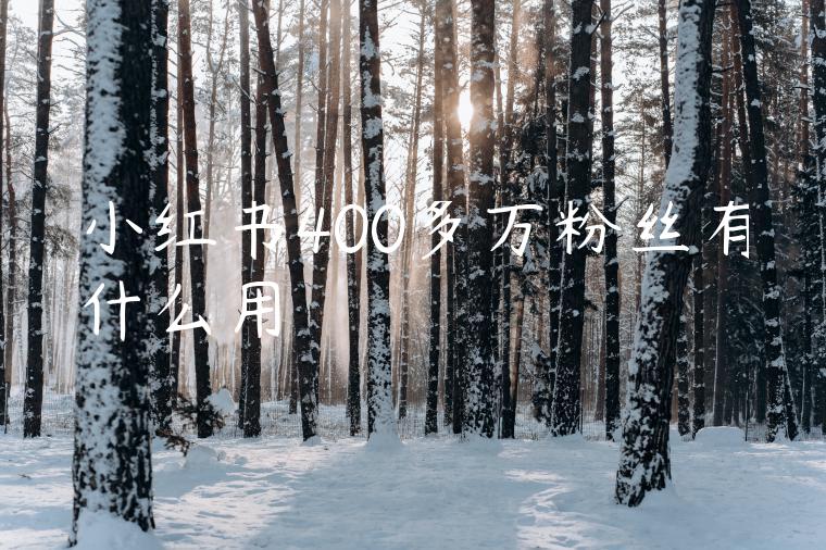 小红书400多万粉丝有什么用