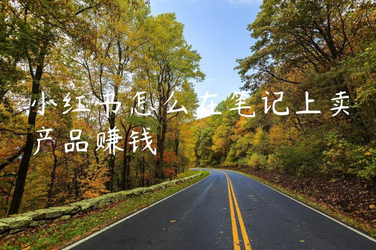 小红书怎么在笔记上卖产品赚钱
