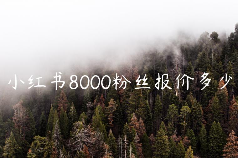 小红书8000粉丝报价多少