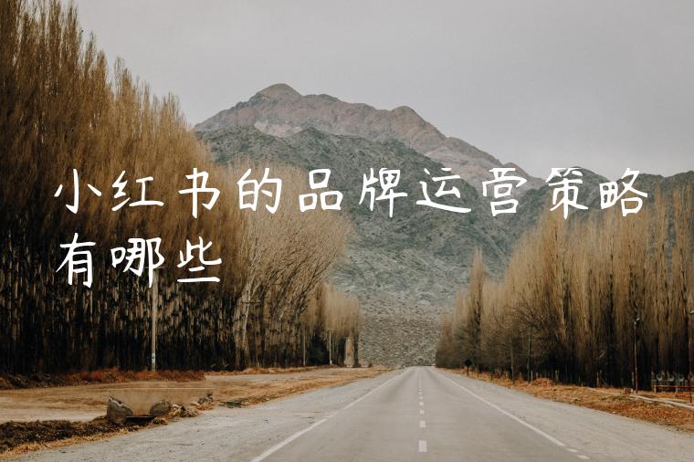 小红书的品牌运营策略有哪些 小红书的品牌运营策略有哪些