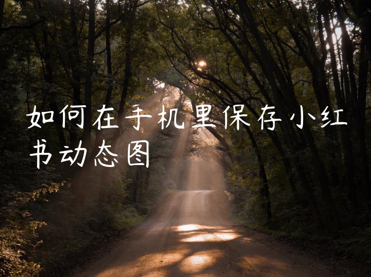 如何在手机里保存小红书动态图