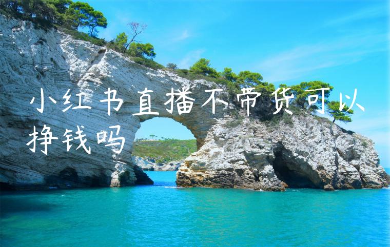 小红书直播不带货可以挣钱吗 小红书直播不带货可以挣钱吗