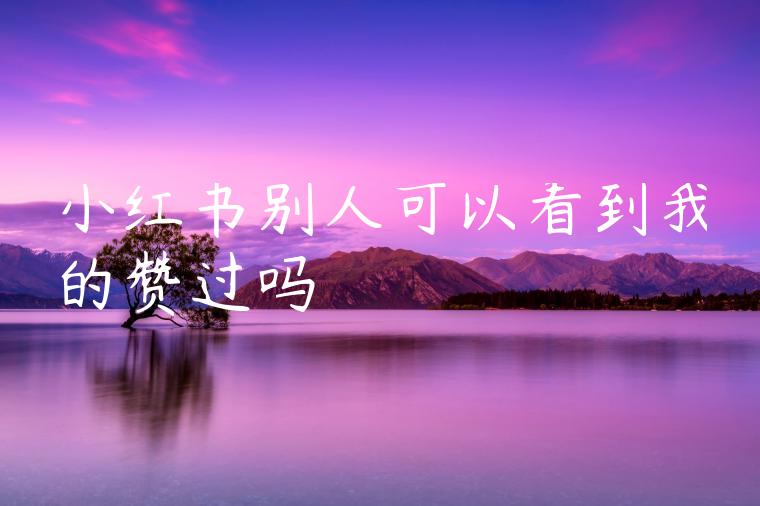 小红书别人可以看到我的赞过吗