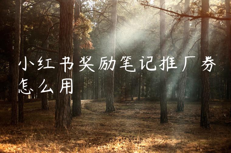 小红书奖励笔记推广券怎么用 小红书奖励笔记推广券怎么用