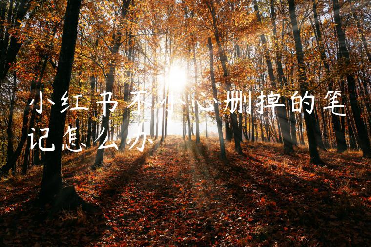 小红书不小心删掉的笔记怎么办 小红书不小心删掉的笔记怎么办