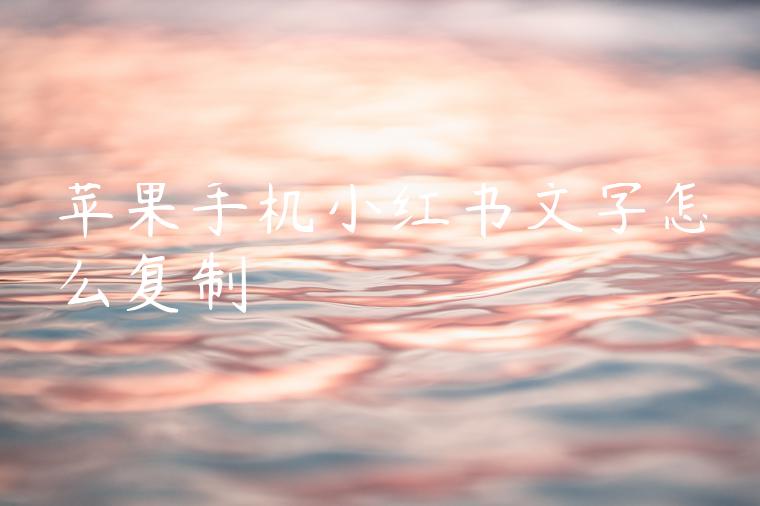 苹果手机小红书文字怎么复制 苹果手机小红书文字怎么复制