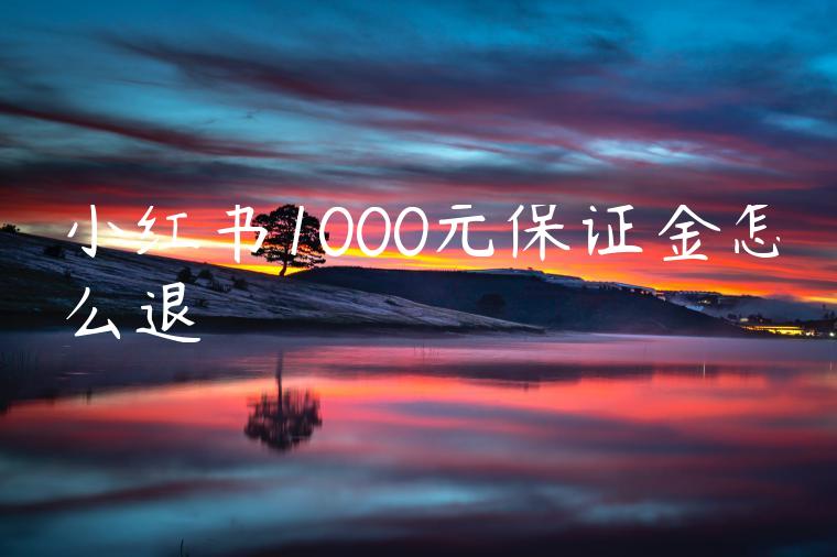 小红书1000元保证金怎么退