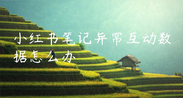 小红书笔记异常互动数据怎么办 小红书笔记异常互动数据怎么办