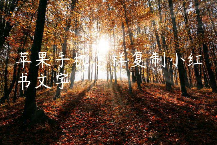 苹果手机怎样复制小红书文字