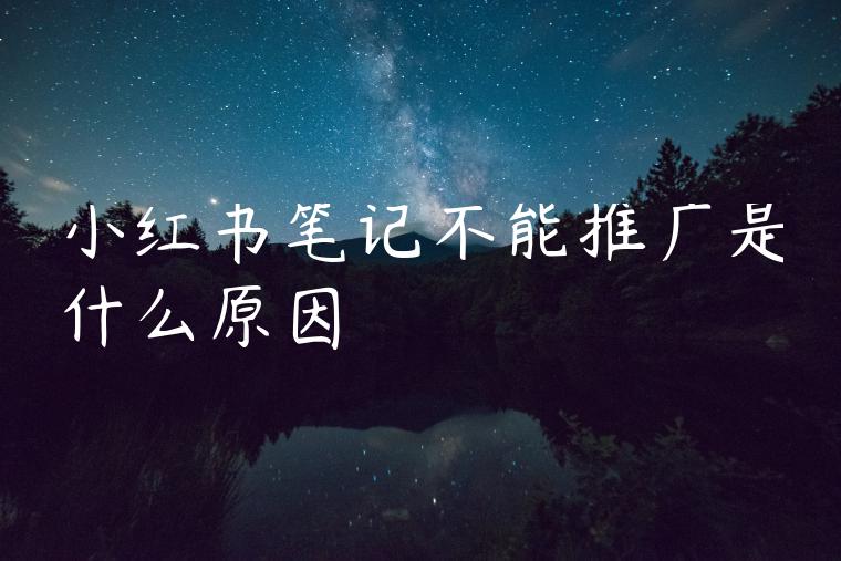 小红书笔记不能推广是什么原因