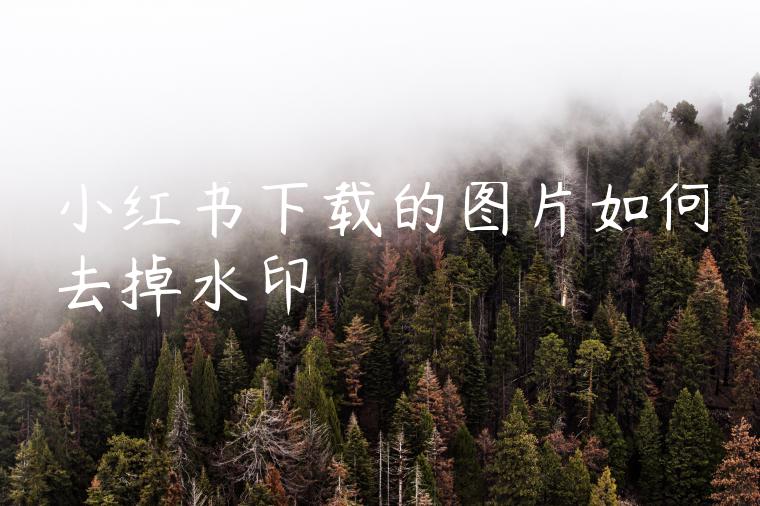 小红书下载的图片如何去掉水印