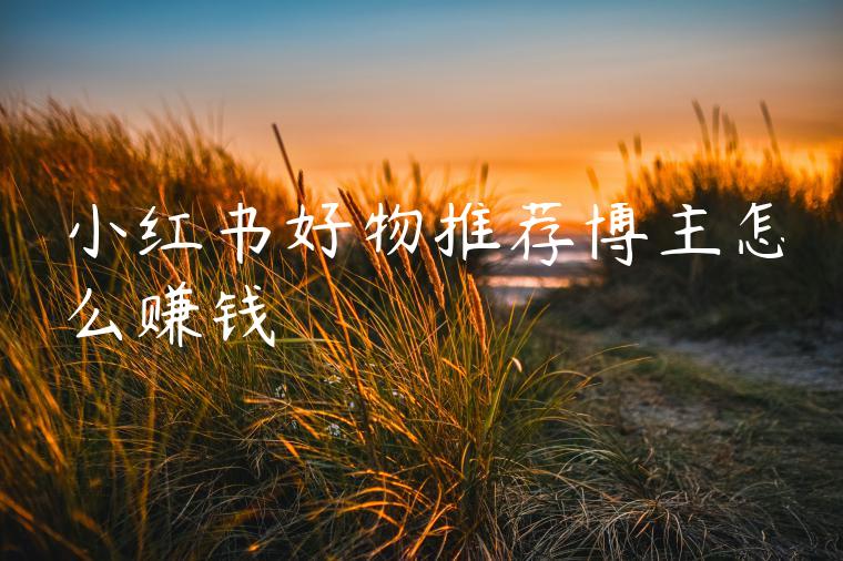小红书好物推荐博主怎么赚钱